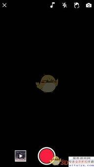 吃瓜打鸡血的视频教程完整版,视频教程完整版深度解析