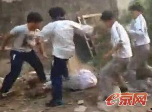 汕头澄海吃瓜事件视频,一场网络热议背后的真相揭秘