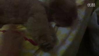 漂亮的姐姐吃瓜视频,姐姐们的美味“吃瓜”时光