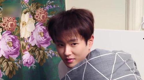 范丞丞综艺吃瓜视频下载,揭秘明星幕后趣事