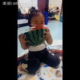 搞笑宝宝吃瓜视频大全