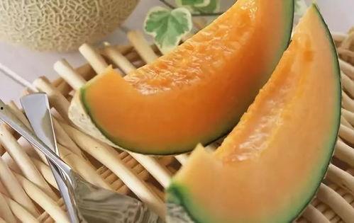 吃哈密瓜虫视频,揭秘瓜中“神秘生物”